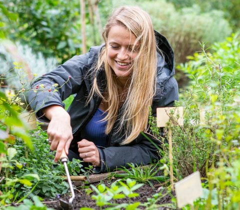 green impact in zoetermeer Hof van Seghwaert