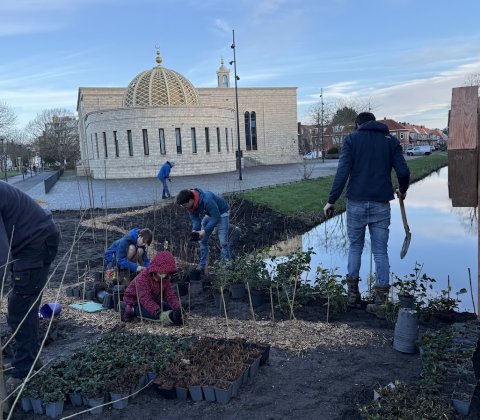 Hoe een voedselbosje een Leidse straat verbindt