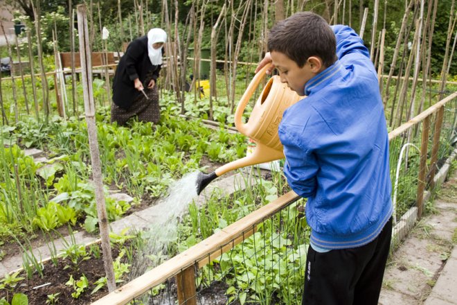 Jongen met gieter geeft planten water